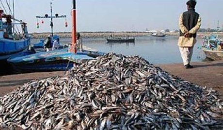 Fish harbar