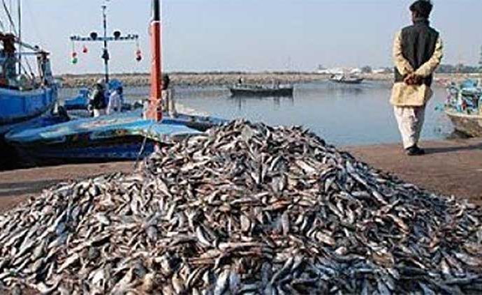 Fish harbar